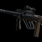 AUG | Spalted Wood (Field-Tested)