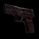 P250 | Contaminant (Well-Worn)