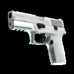 P250 | Whiteout (Factory New)