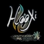 Sticker | HooXi | Antwerp 2022