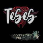 Sticker | TeSeS | Antwerp 2022