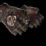 ★ Broken Fang Gloves | Needle Point (Field-Tested)